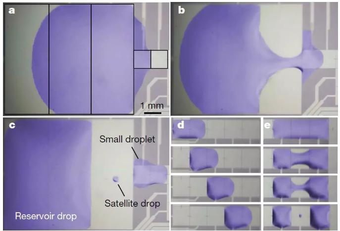 圖三:液滴在MEMS芯片的液流通道中產生、移動和融合 圖三:液滴在MEMS芯片的液流通道中產生、移動和融合