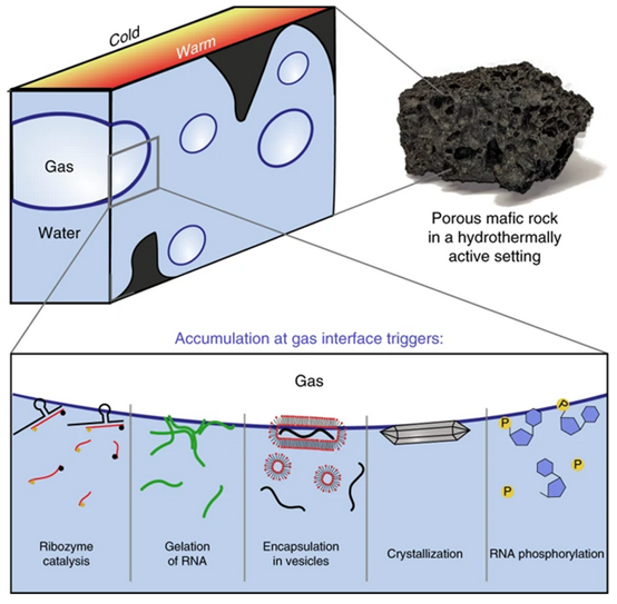 研究人員利用3D打印構建了模擬火山巖的微流控器件，用于觀察重要的生命分子在液-氣界面的動力學行為