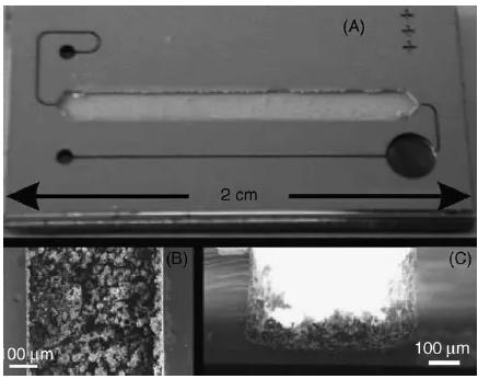 圖5. 在火焰噴霧沉積催化劑后用微反應器的樣品架的照片