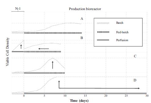 N-1和生產(N-階段)生物反應器不同操作策略的示意圖 N-1和生產(N-階段)生物反應器不同操作策略的示意圖