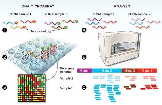 微流控自動化技術革新RNA-Seq文庫構建流程 --- FLUIDIGM發布更高效、更節約成本的Advanta RNA-Seq NGS 文庫構建解決方案 微流控自動化技術革新RNA-Seq文庫構建流程 --- FLUIDIGM發布更高效、更節約成本的Advanta RNA-Seq NGS 文庫構建解決方案