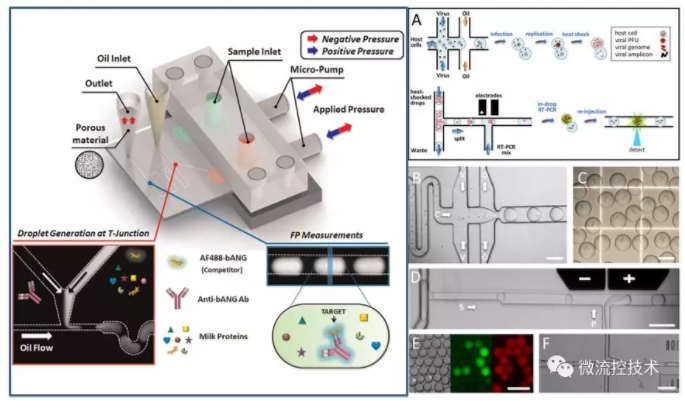 液滴微流控技術應用于分子診斷免疫檢測和病毒感染性檢測