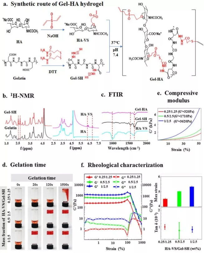 圖2：微凝膠材料的制備和表征