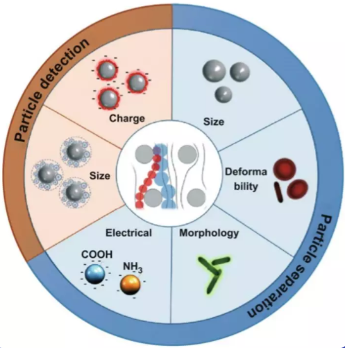 DLD知多少？新加坡NSU綜述帶你了解微流控生物醫(yī)學(xué)新技術(shù)！