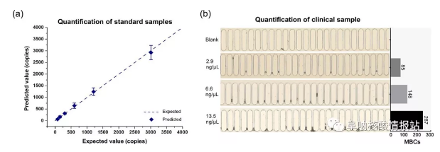 圖6 定量檢測目標DNA