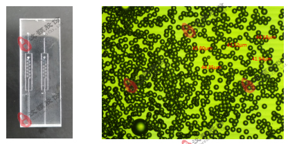 W/O油包水液滴玻璃芯片
