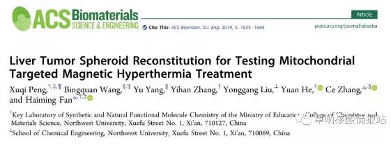 圖片7.png 圖6 肝腫瘤橢球體重建檢測線粒體靶向磁療治療效果 圖片7.png 圖6 肝腫瘤橢球體重建檢測線粒體靶向磁療治療效果