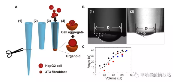 實驗原理圖 實驗原理圖