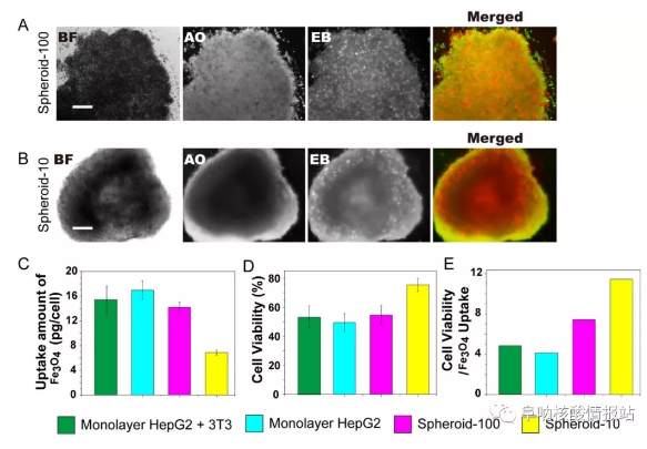 林金明, David A. Weitz:核殼支架中異型細胞的受控組裝:液滴中的器官 林金明, David A. Weitz:核殼支架中異型細胞的受控組裝:液滴中的器官