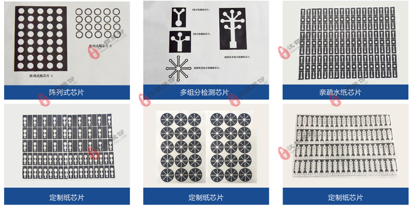 其他常規親疏水紙芯片