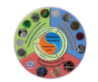 全水微流控細(xì)胞仿生技術(shù)要點(diǎn)