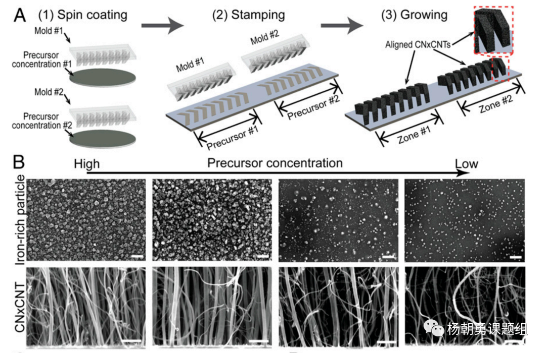 圖 2&nbsp;壓印的方法制作VIRRION及不同內部間隙的碳納米管陣列