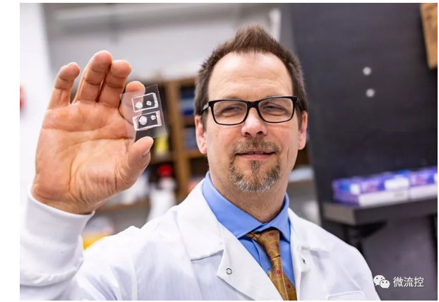 德克薩斯大學(xué)達(dá)拉斯分校的生物工程師與德克薩斯大學(xué)西南醫(yī)學(xué)中心的合作者能夠創(chuàng)建角膜組織模型，并利用它們來研究受損眼睛是如何愈合的。