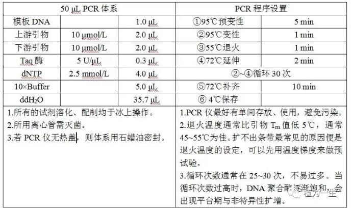 聚合酶鏈式反應的體系 聚合酶鏈式反應的體系