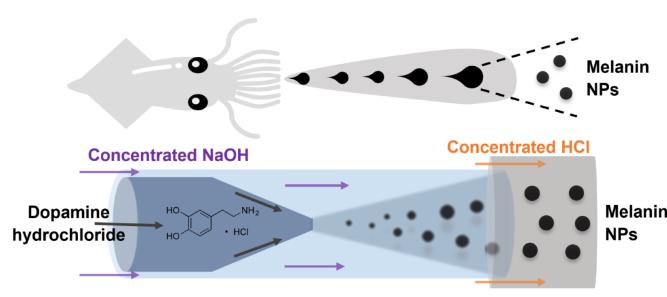 微流體技術高效可控制備類黑色素納米材料 微流體技術高效可控制備類黑色素納米材料