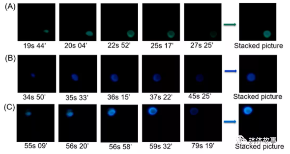 圖1 檢測視頻不同時間典型截圖的疊加圖像，圖像分別對應檢測區域1(A)、2(B)、3(C)產生的光發射