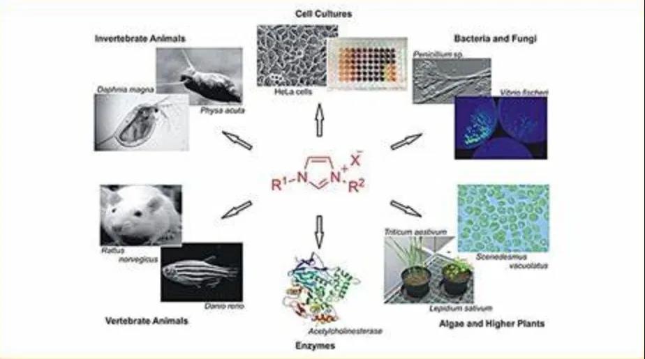 離子液體技術 離子液體技術