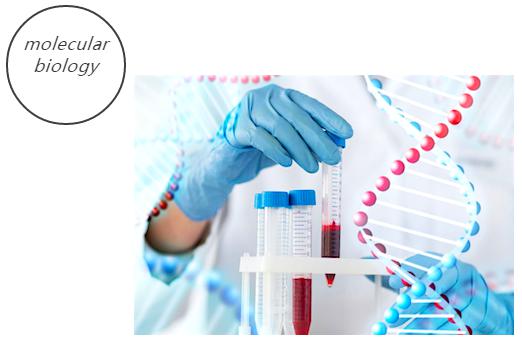 微流控分子生物學