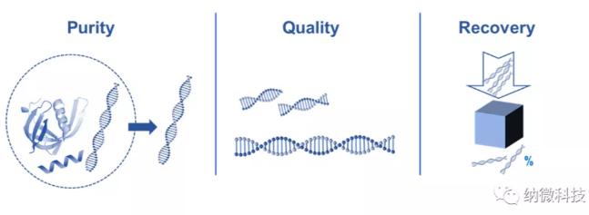 如何評估磁珠法提取核酸的效果？ 