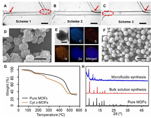 微流體合成Cyt c-MOF復(fù)合物的、結(jié)構(gòu)、形貌等示意圖 微流體合成Cyt c-MOF復(fù)合物的、結(jié)構(gòu)、形貌等示意圖