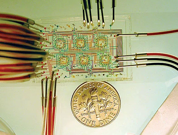 微流控芯片。圖片來源：Nature 