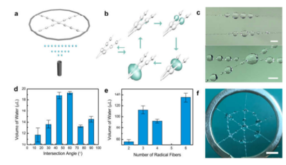 微流控沙漏型微纖維網絡液滴吸附