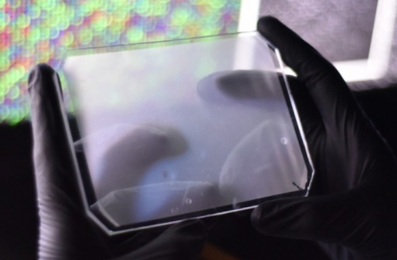 CARMEN微孔芯片 CARMEN微孔芯片