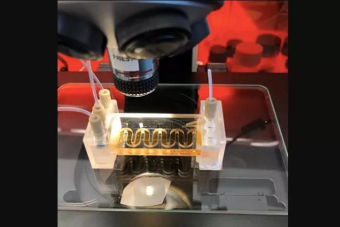 低成本的微流體傳感器用于水質監測 低成本的微流體傳感器用于水質監測