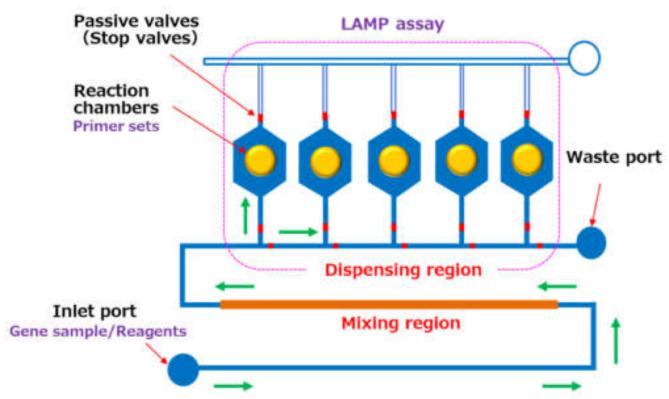 微流控芯片技術可快速診斷多種植物病毒所引起的疾病