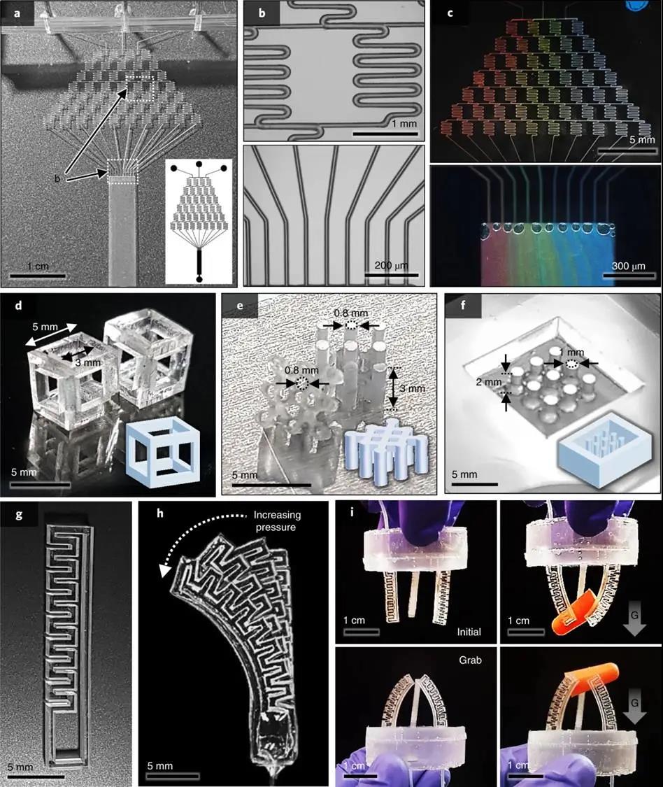展示的PDMS器件的制造 展示的PDMS器件的制造