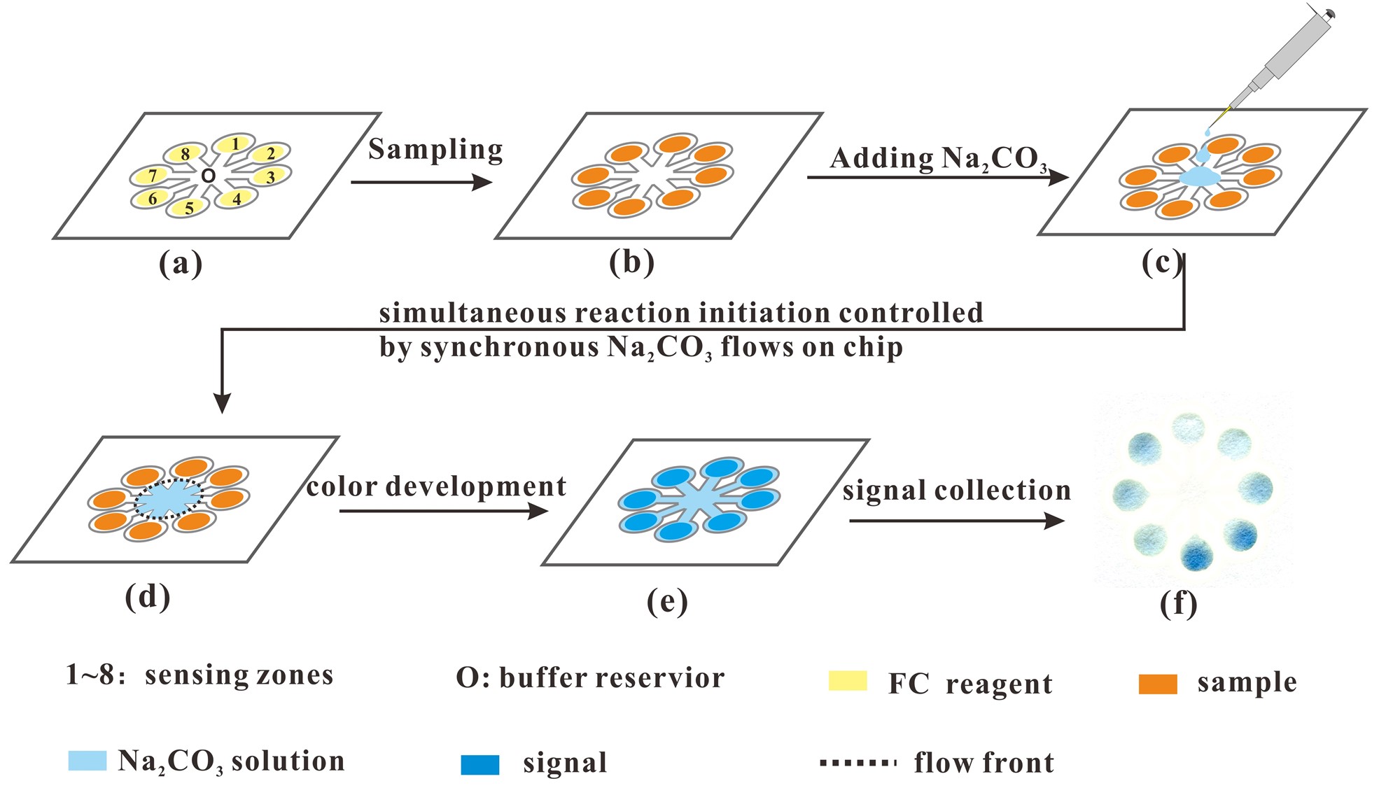 微流控紙芯片技術 10分鐘可測出茶多酚含量 微流控紙芯片技術 10分鐘可測出茶多酚含量