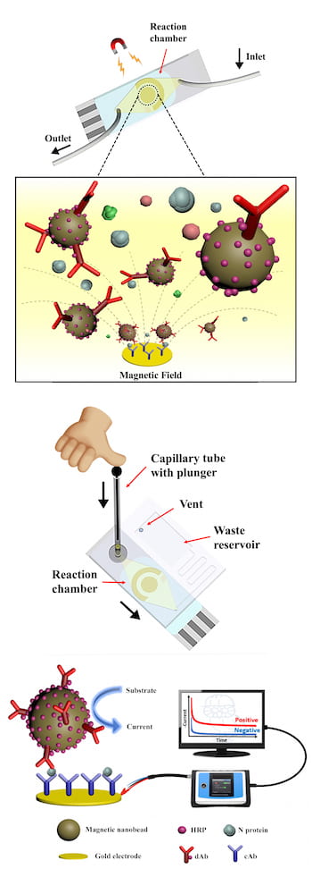 微流控芯片簡化了COVID-19檢測，可在55分鐘或更短時間內在手機上提供結果