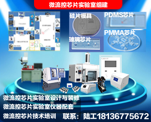 芯片實驗室組建.jpg 芯片實驗室組建.jpg