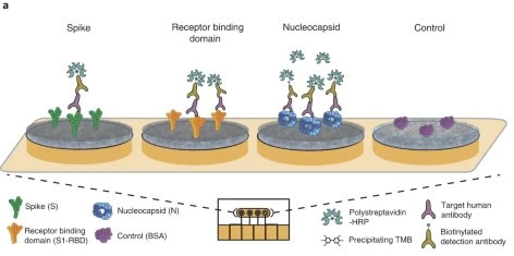 1661225376200356.png 圖片3.png