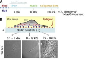 1674979367387574.png 8.png