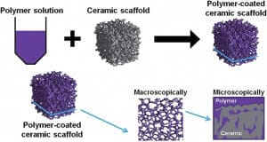 1675065635218637.png 4.png