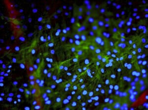 1675065742119512.png 8.png