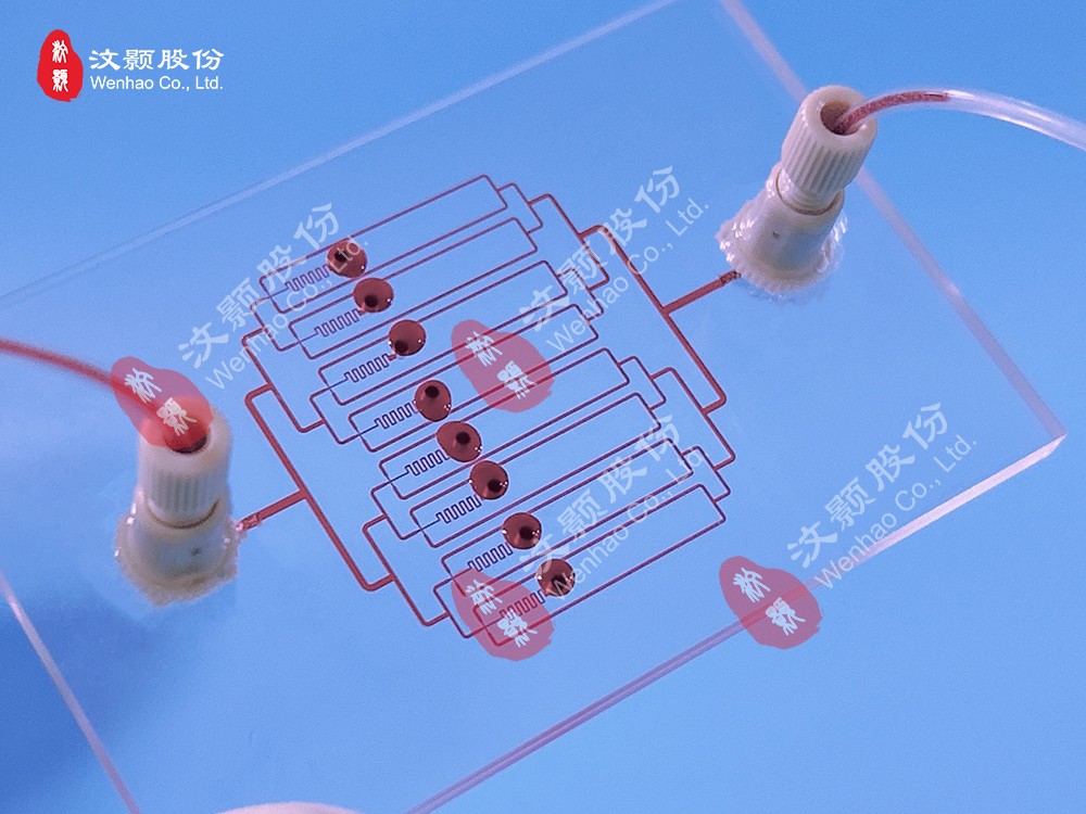 1709173550356460.jpg 1709173550356460.jpg