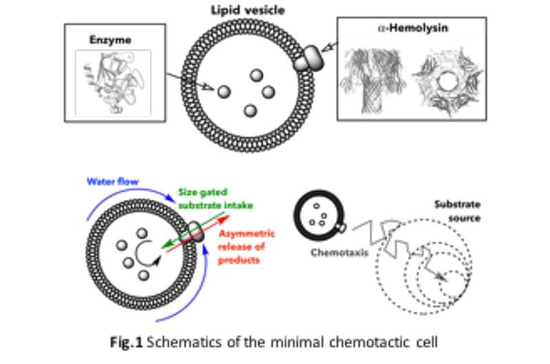 1754037067911358.png 圖片4.png