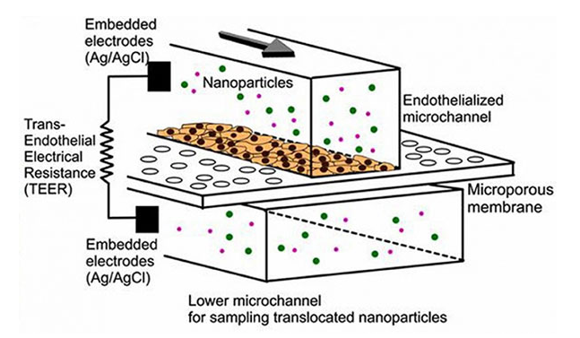 微流控芯片|微流控芯片批量加工
