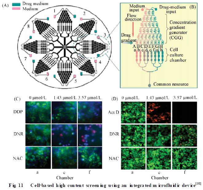 微流控芯片在模式生物水平化學研究技術